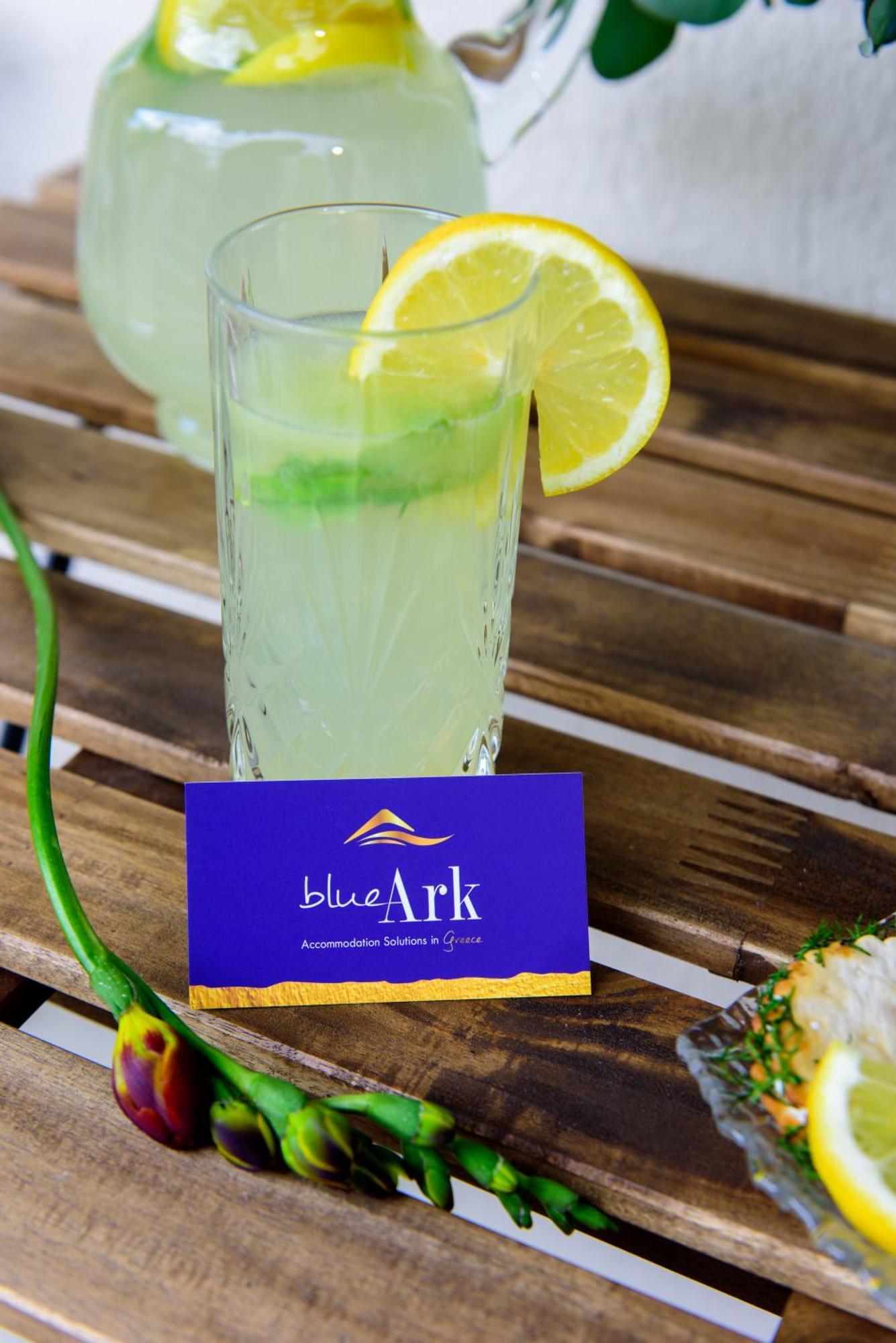 Blue Ark Harmony